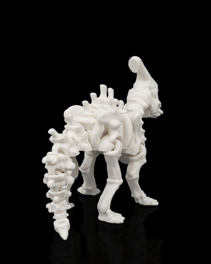 Skeleton Parasaurolophus