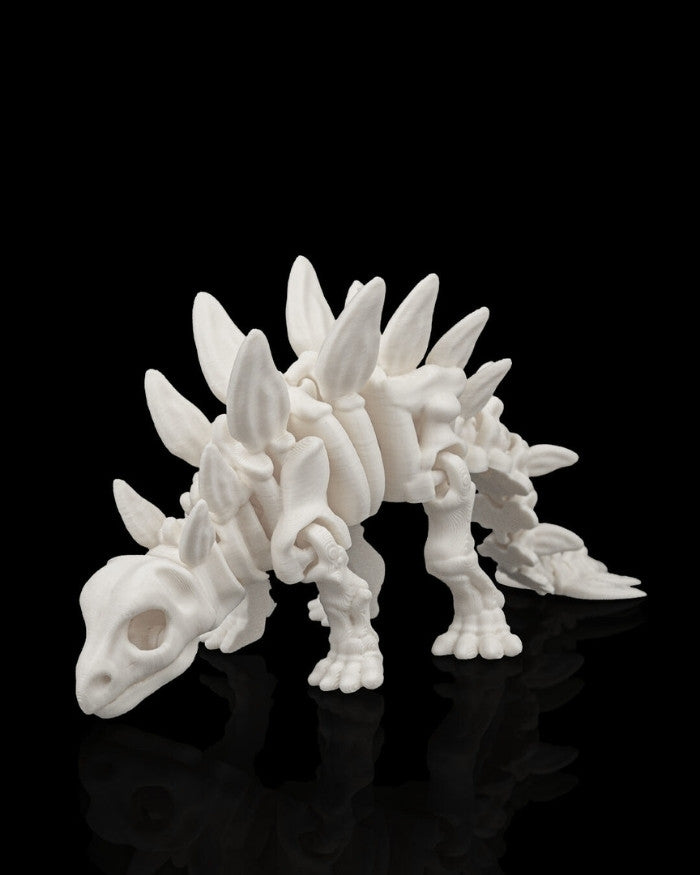 Skeleton Stegosaurus