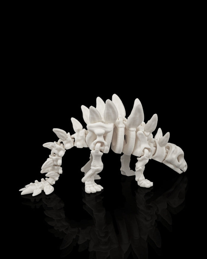 Skeleton Stegosaurus