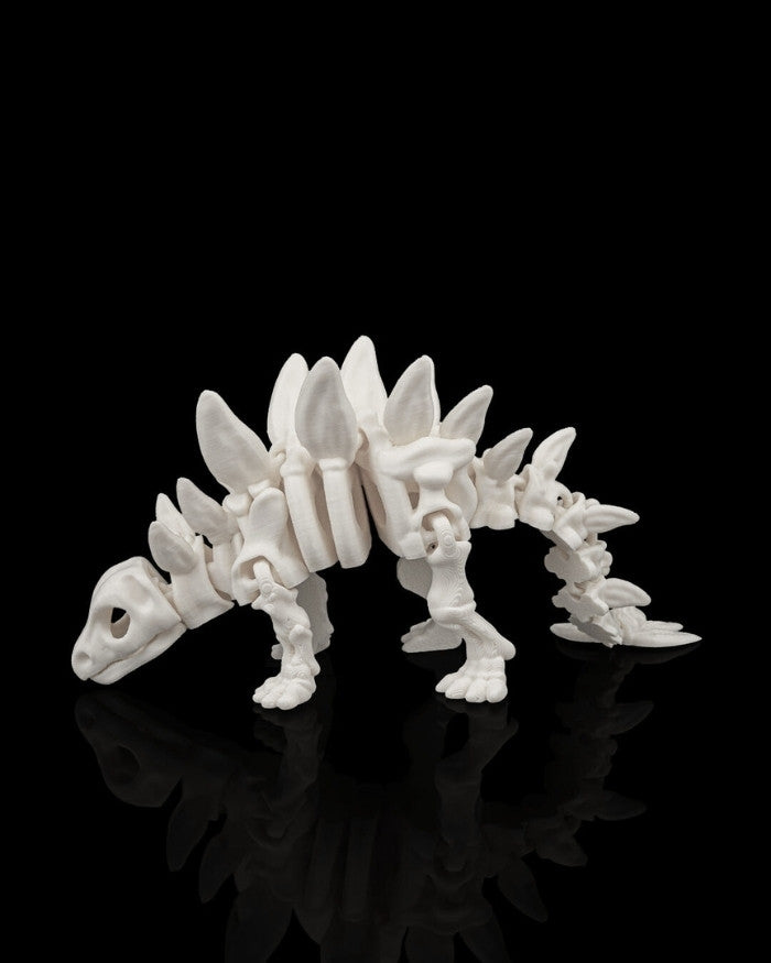 Skeleton Stegosaurus
