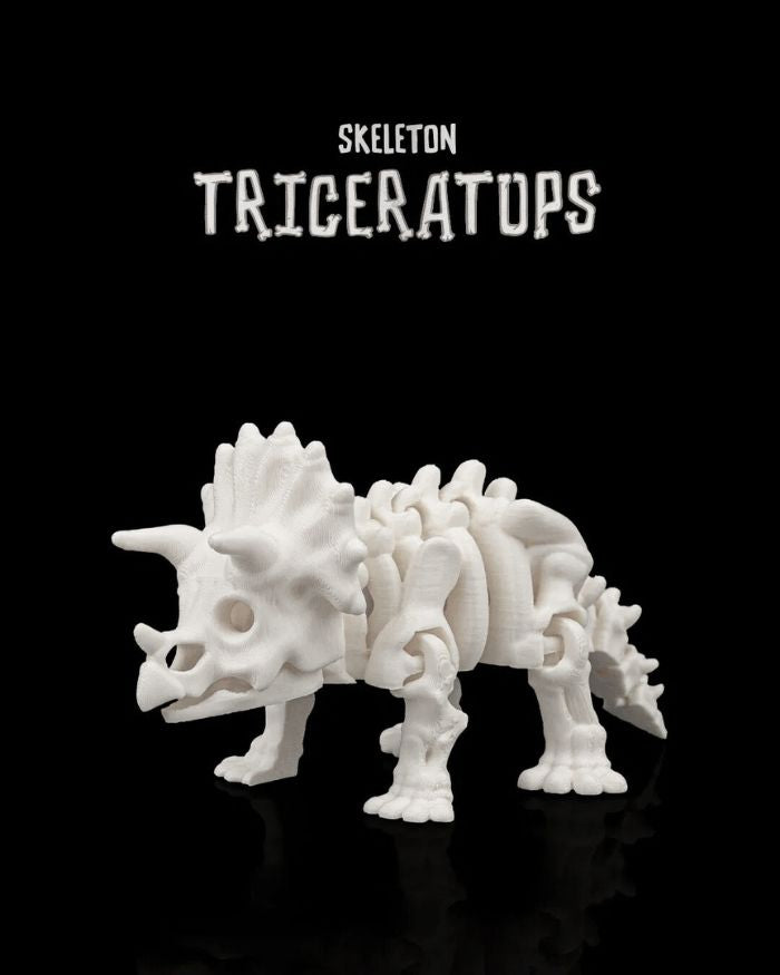 Skeleton Triceratops