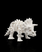 Skeleton Triceratops