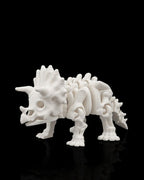 Skeleton Triceratops