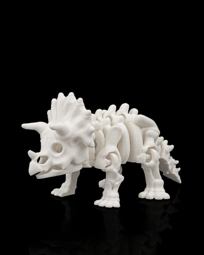 Skeleton Triceratops