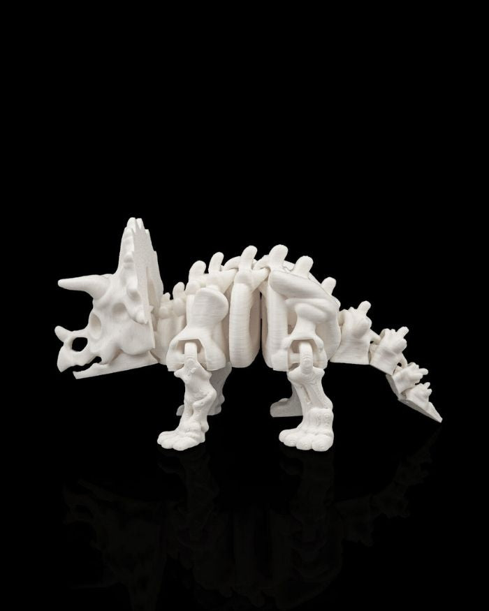 Skeleton Triceratops