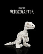 Skeleton Velociraptor