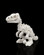 Skeleton Velociraptor