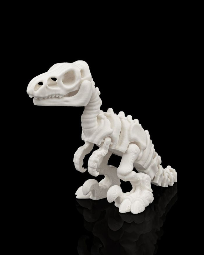 Skeleton Velociraptor
