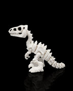 Skeleton Velociraptor