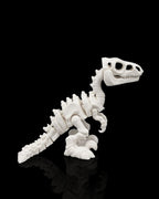 Skeleton Velociraptor