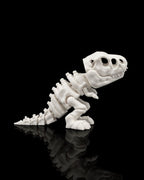 Skeleton T-Rex