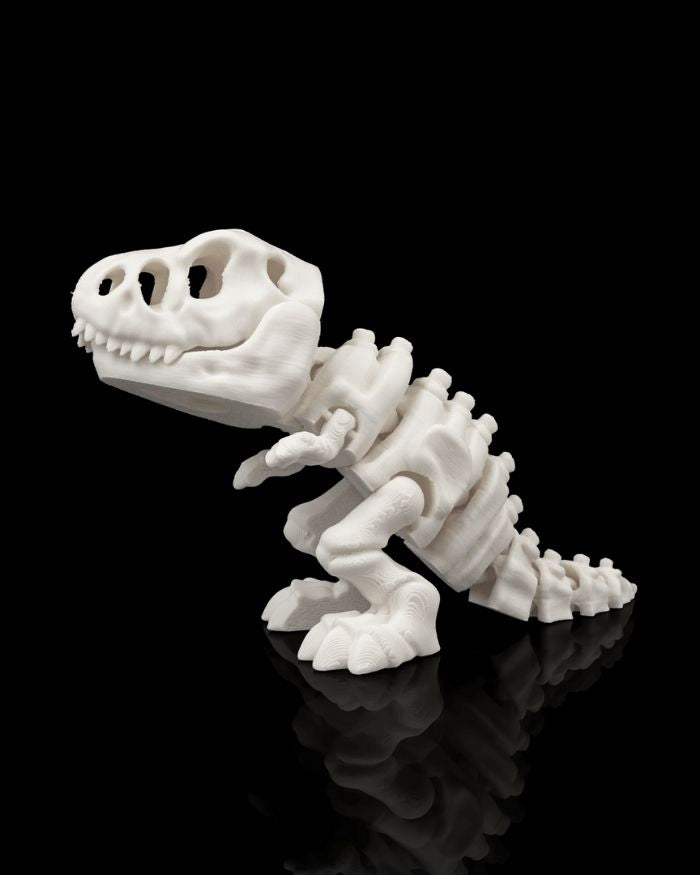 Skeleton T-Rex