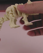 Skeleton Ankylosaurus