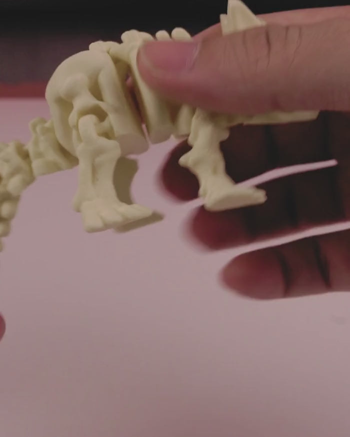 Skeleton Ankylosaurus