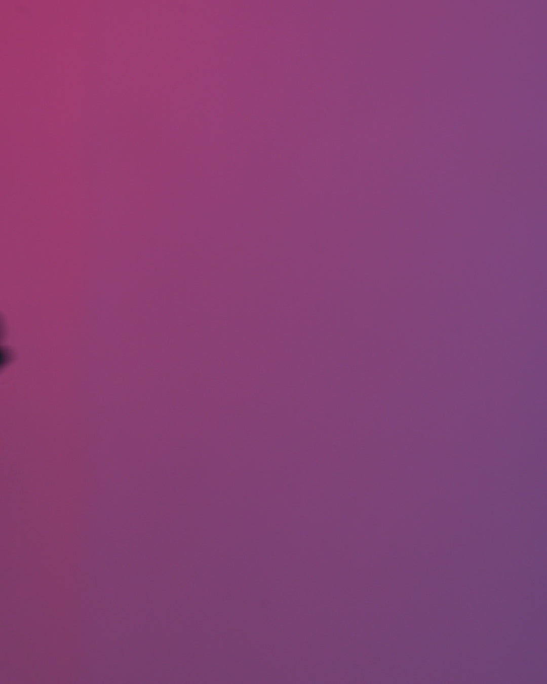 Pandarmony – Panda Keyring