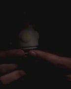 Cockatiel Crochet Toy