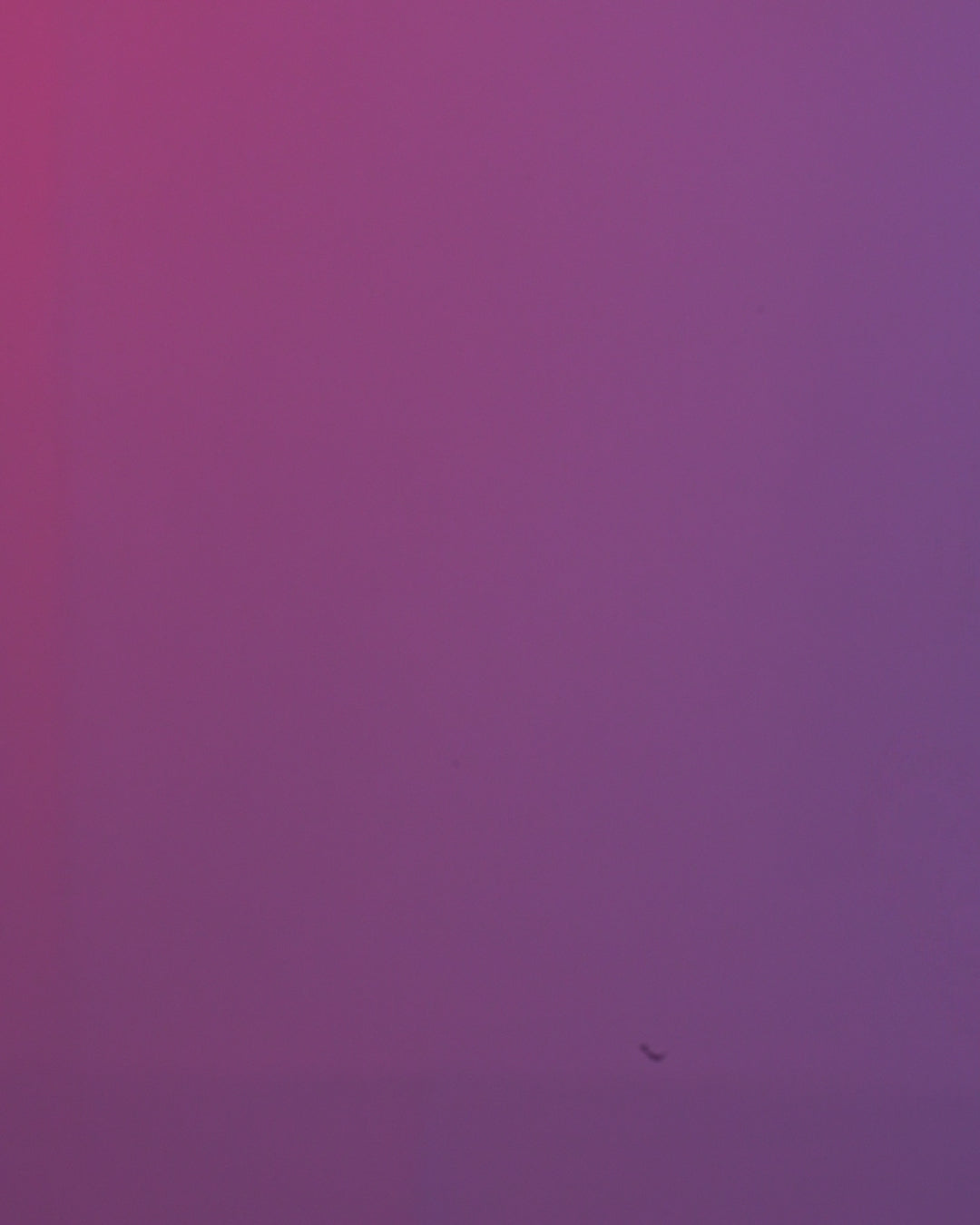 Pandream – Panda Keyring