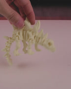 Skeleton Stegosaurus