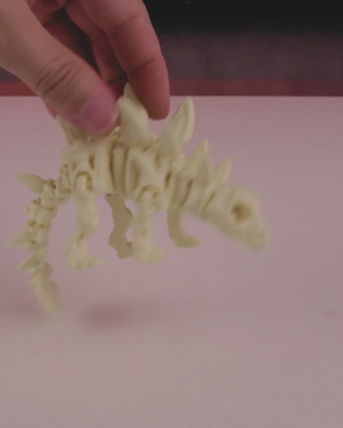 Skeleton Stegosaurus