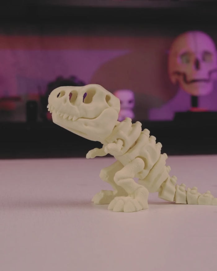 Skeleton T-Rex