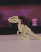 Skeleton Velociraptor