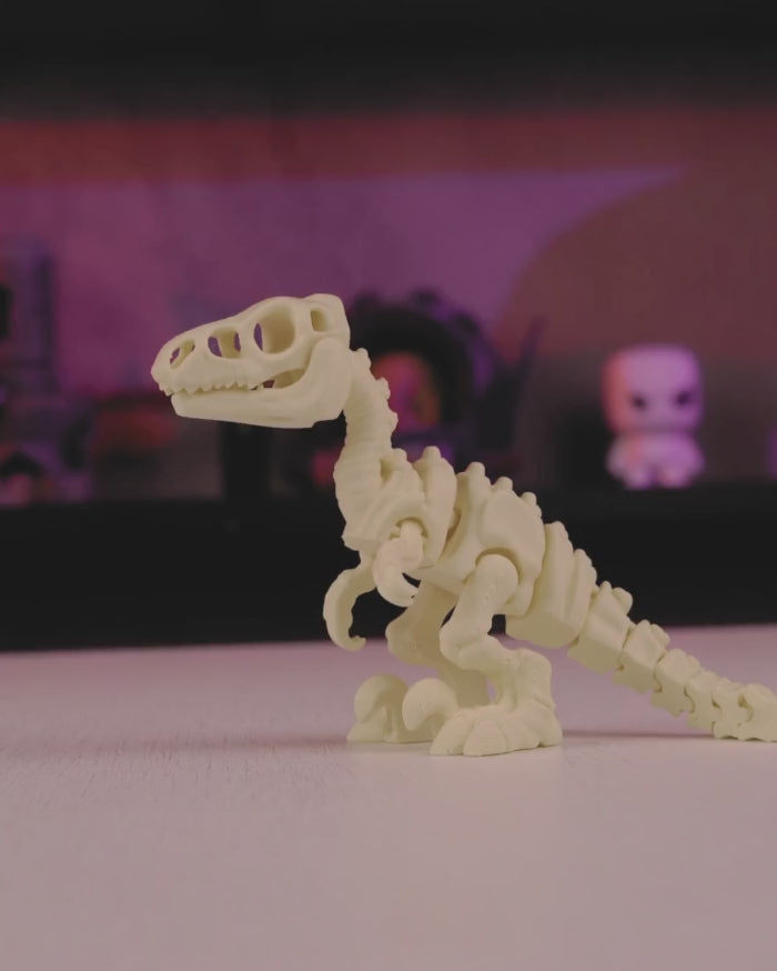Skeleton Velociraptor