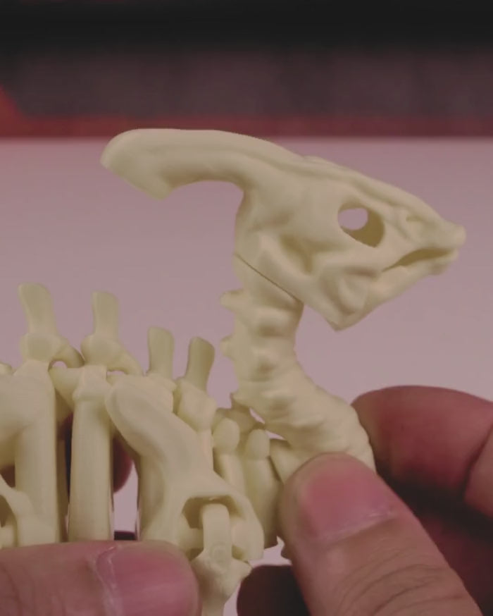 Skeleton Parasaurolophus